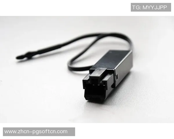 pg电子维护-PG电子维护，关键步骤与实践策略-pg电子维护